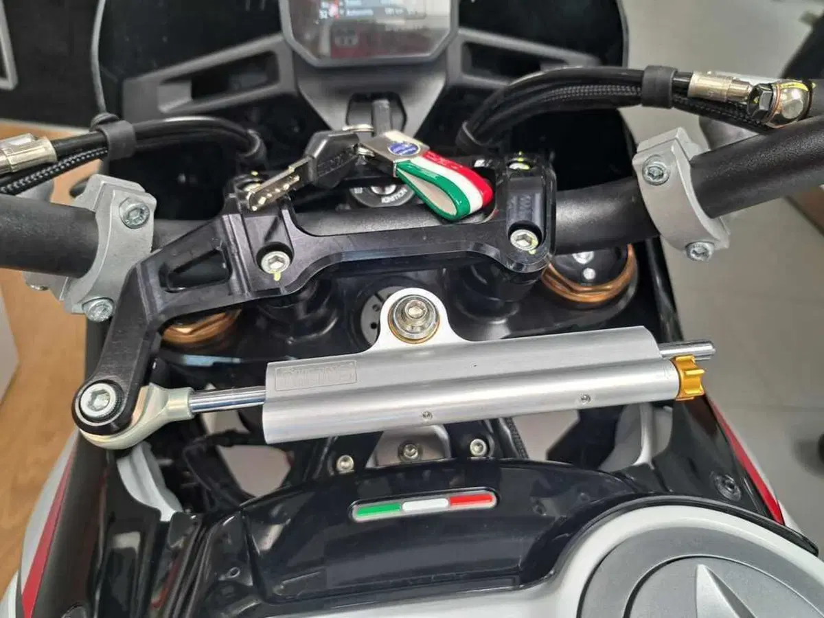 Ducati DesertX Rally (2024 - 25) (8)