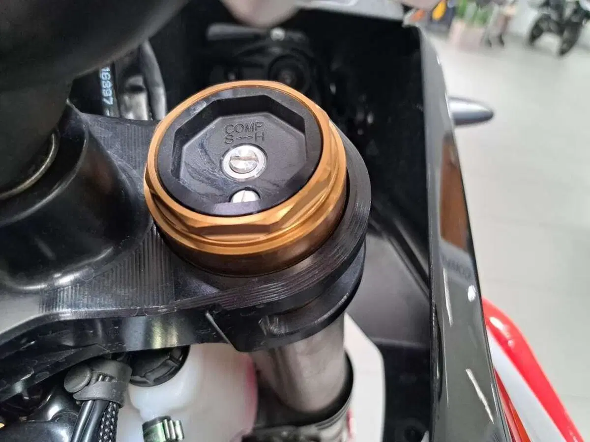Ducati DesertX Rally (2024 - 25) (12)