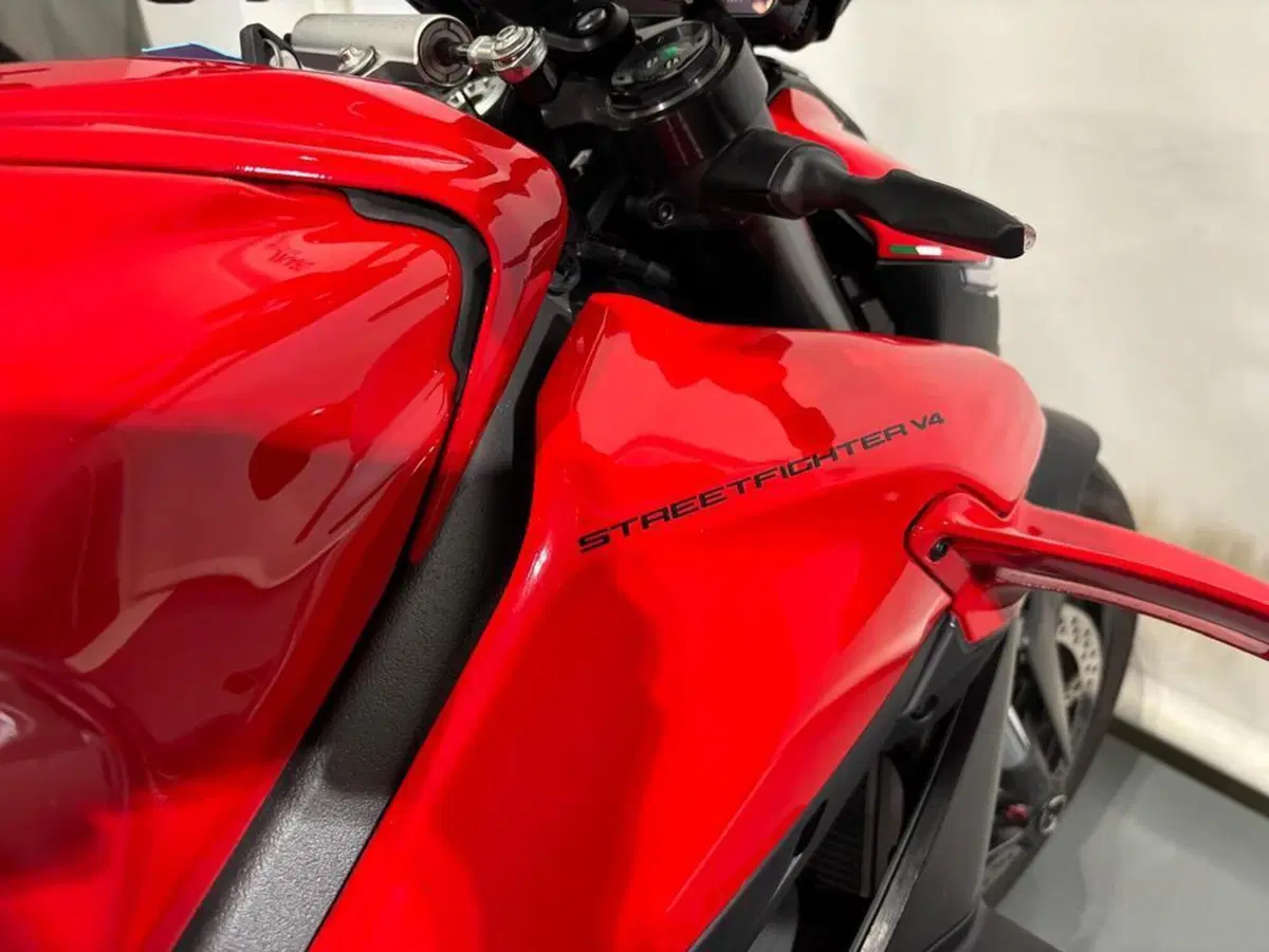 Ducati Streetfighter V4 1100 (2021 - 22) (7)