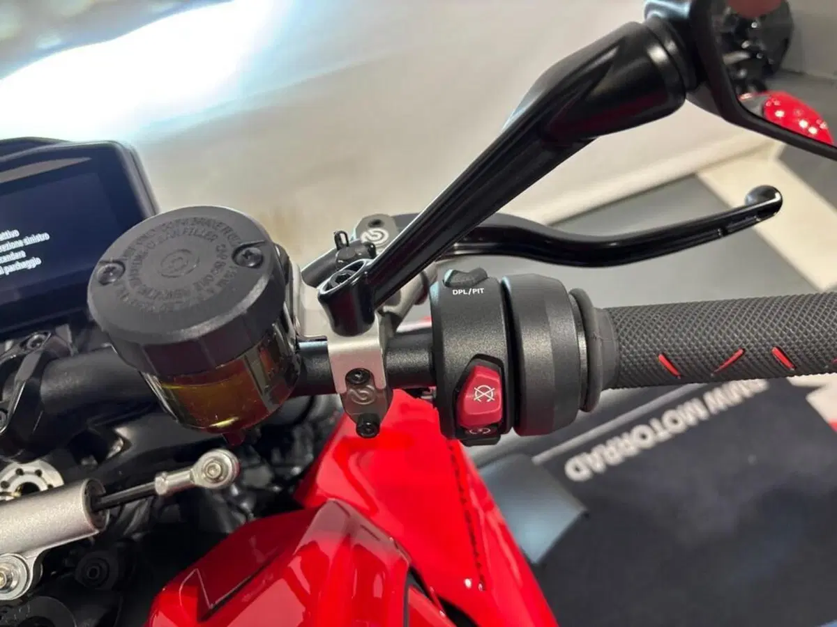 Ducati Streetfighter V4 1100 (2021 - 22) (8)
