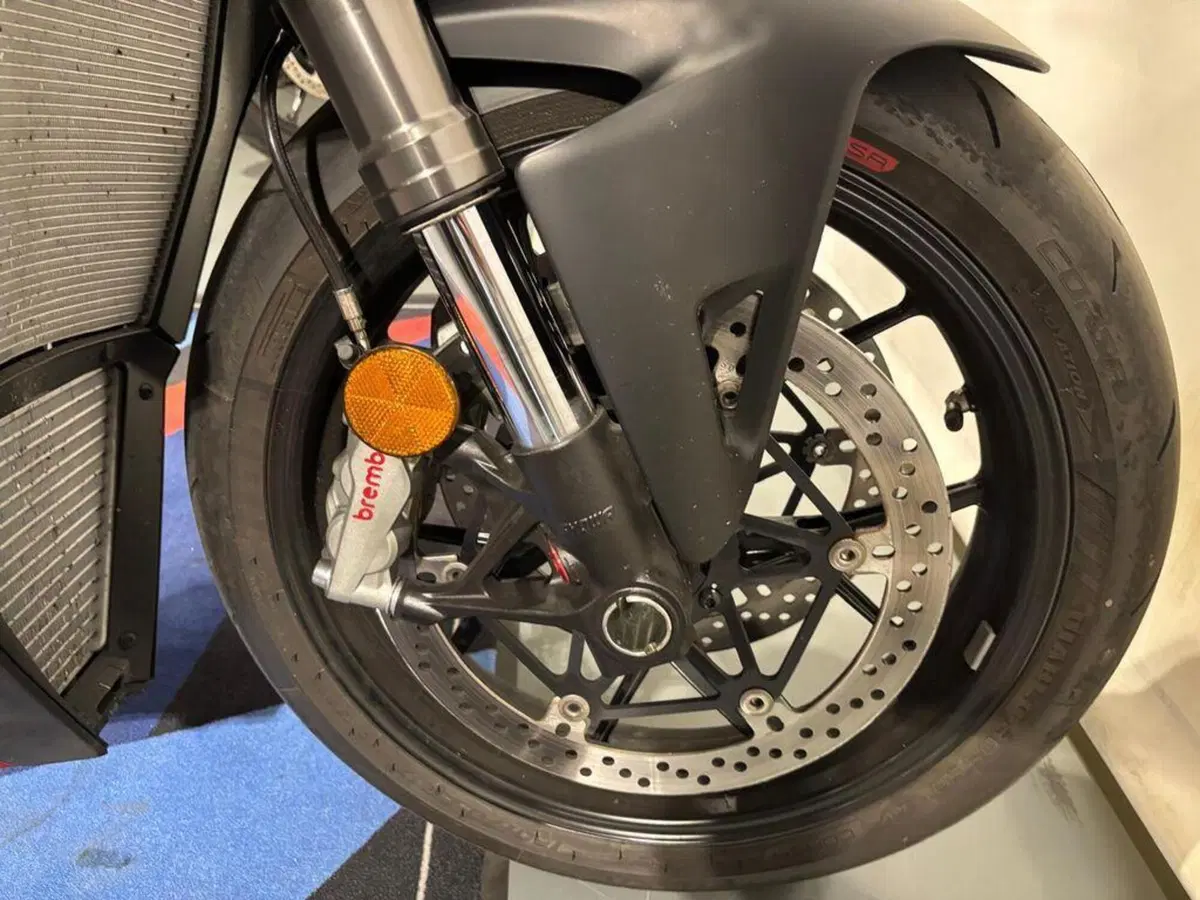 Ducati Streetfighter V4 1100 (2021 - 22) (14)