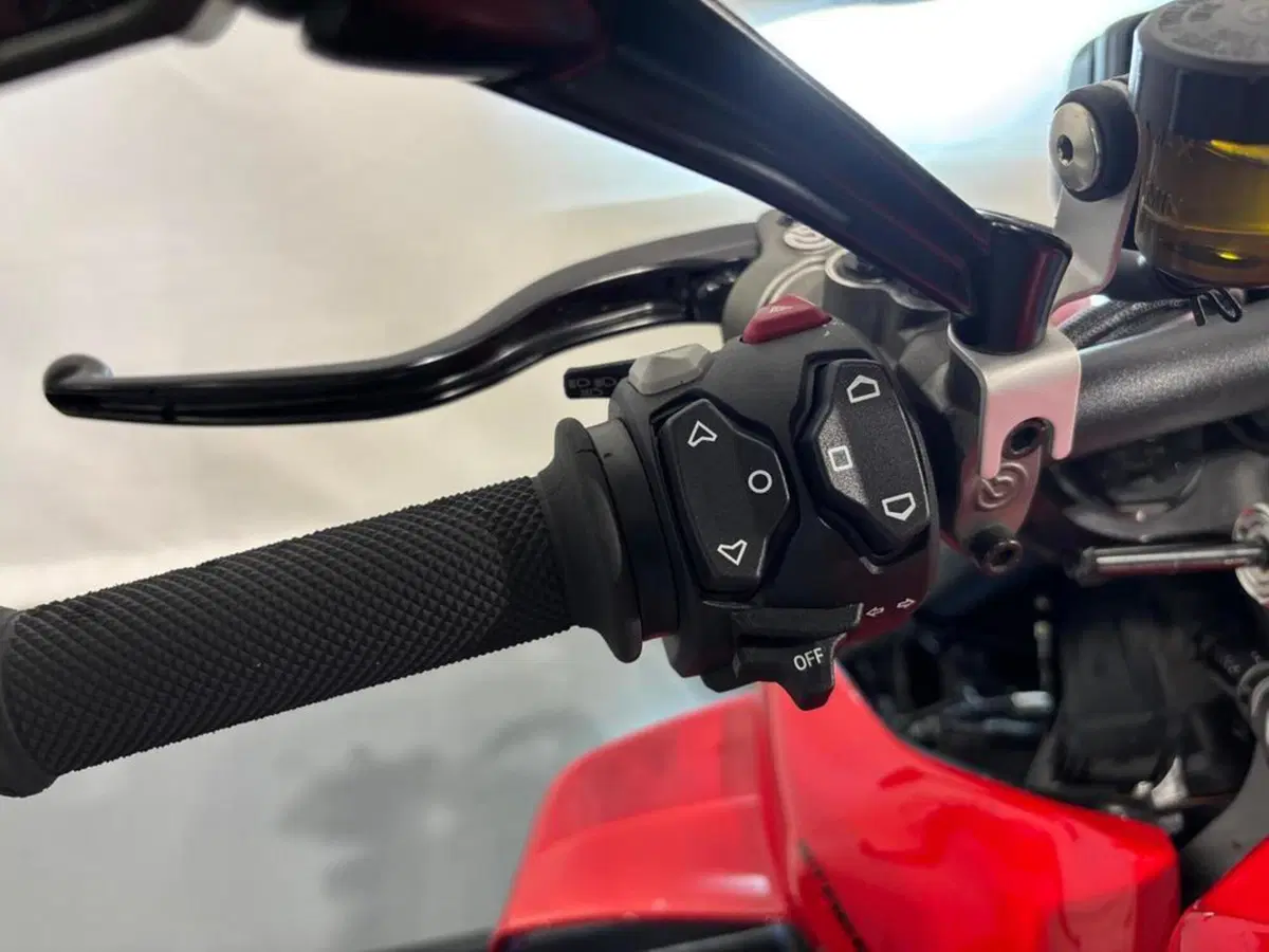 Ducati Streetfighter V4 1100 (2021 - 22) (9)