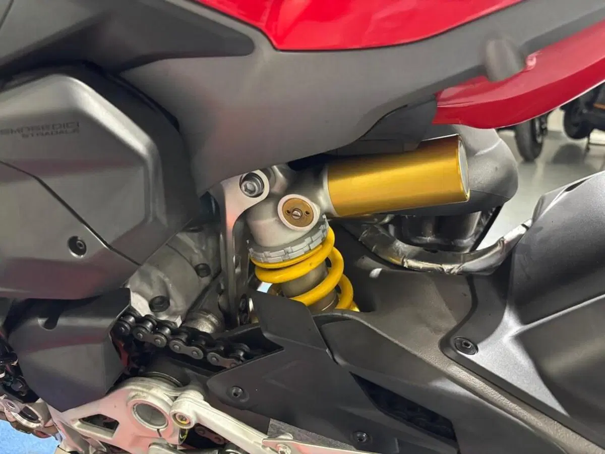 Ducati Streetfighter V4 1100 (2021 - 22) (15)