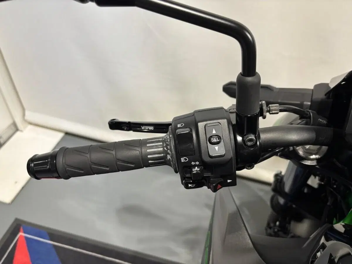 Kawasaki Z 650 Sport (2021 - 24) (7)