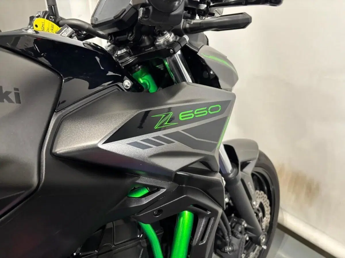 Kawasaki Z 650 Sport (2021 - 24) (10)