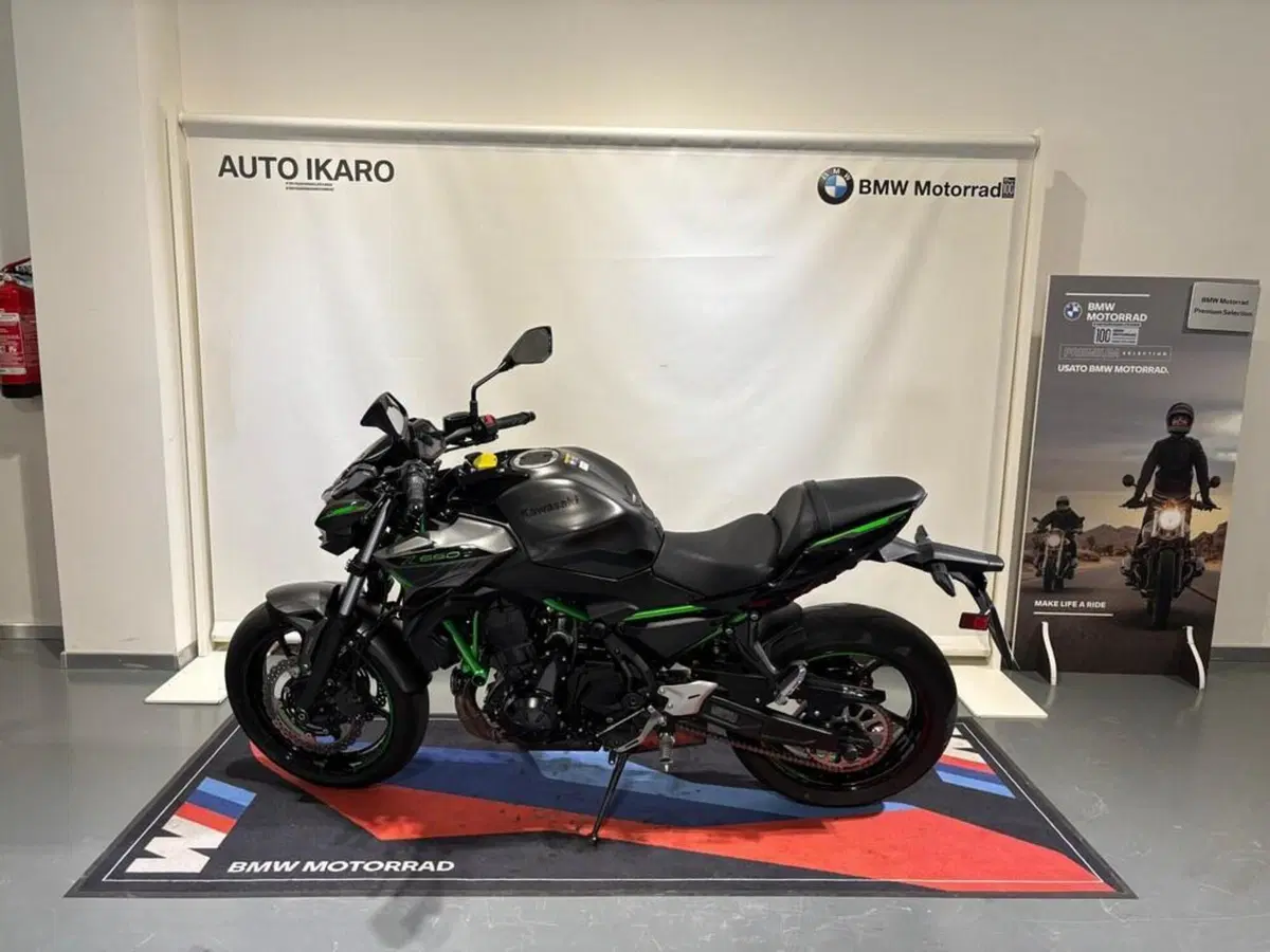 Kawasaki Z 650 Sport (2021 - 24) (2)