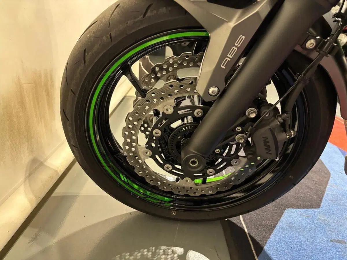 Kawasaki Z 650 Sport (2021 - 24) (13)