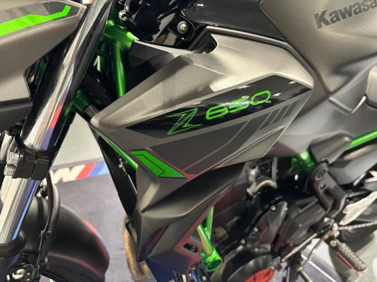 Kawasaki Z 650 Sport (2021 - 24) (11)