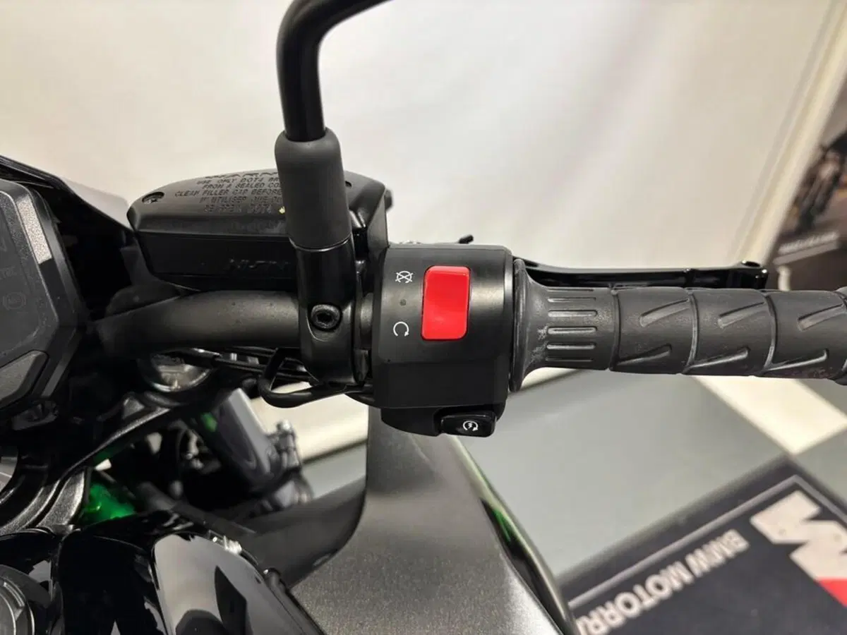 Kawasaki Z 650 Sport (2021 - 24) (6)