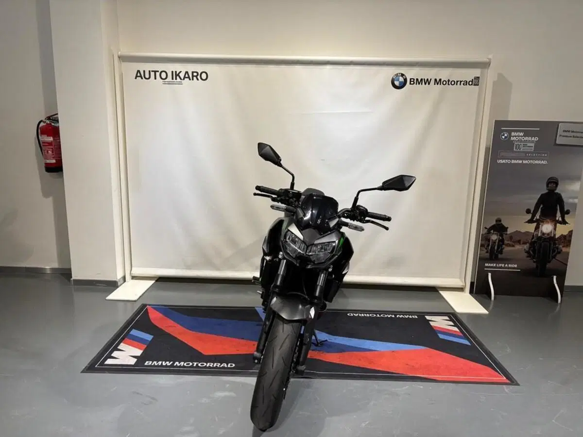 Kawasaki Z 650 Sport (2021 - 24) (3)