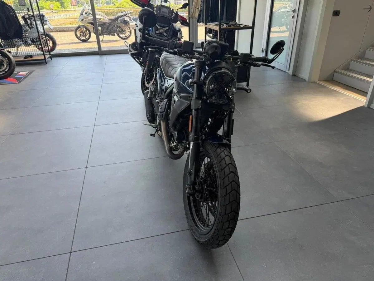 Ducati Scrambler 800 Nightshift (2023 - 24) (4)