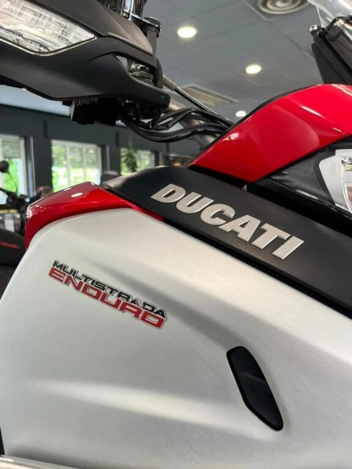Ducati Multistrada 1260 Enduro (2019 - 21) (3)