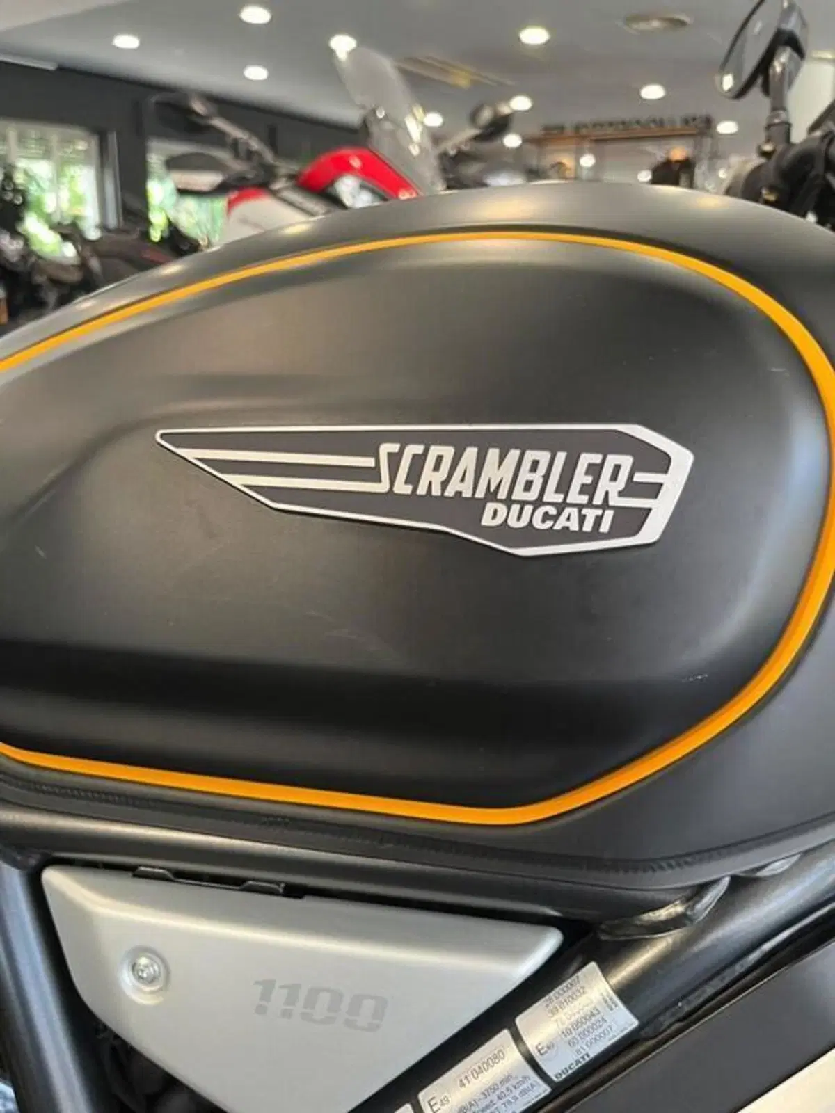 Ducati Scrambler 1100 Special (2018 - 20) (3)