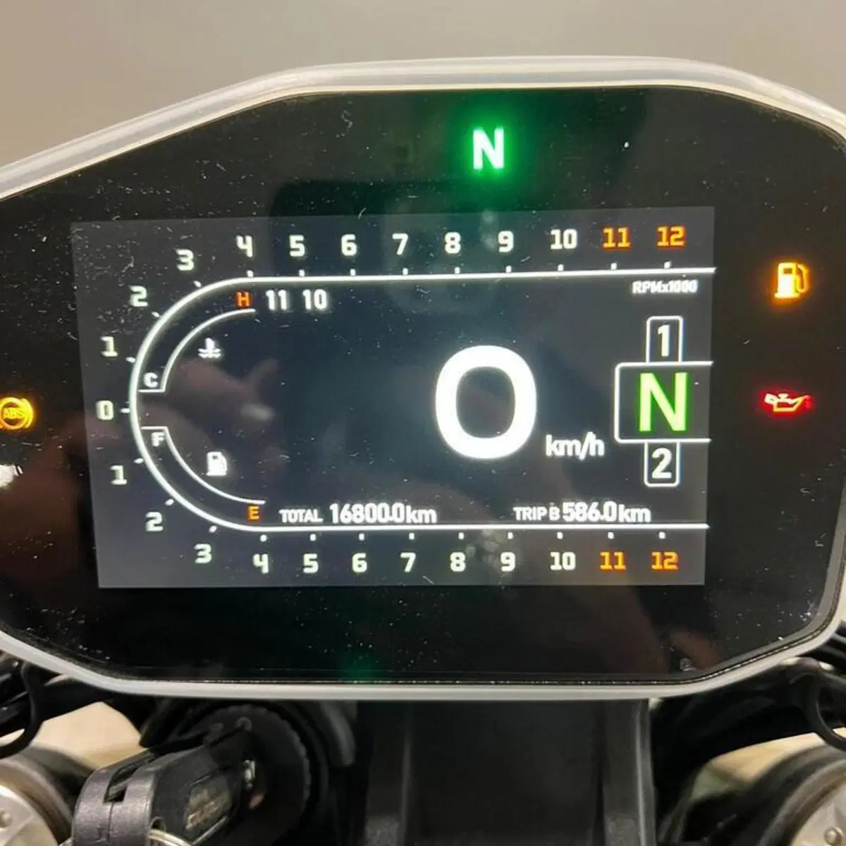 Benelli Leoncino 500 (2021 - 25) (5)