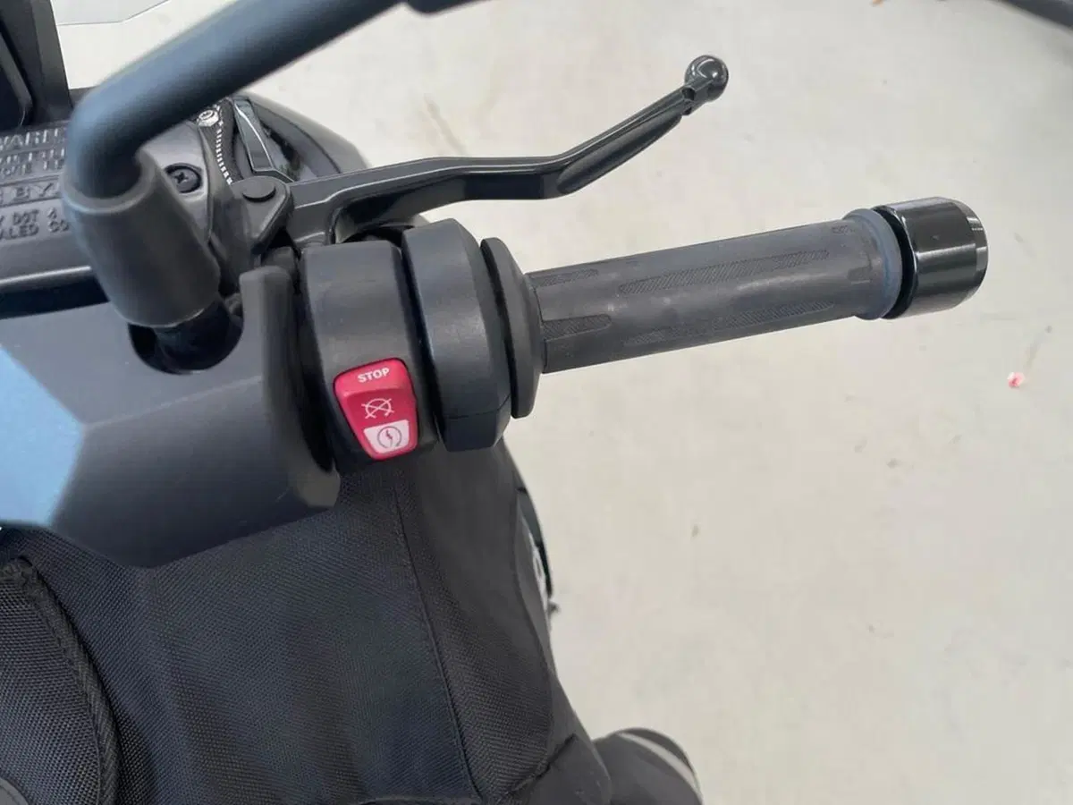 Bmw C 400 X (2018 - 20) (11)
