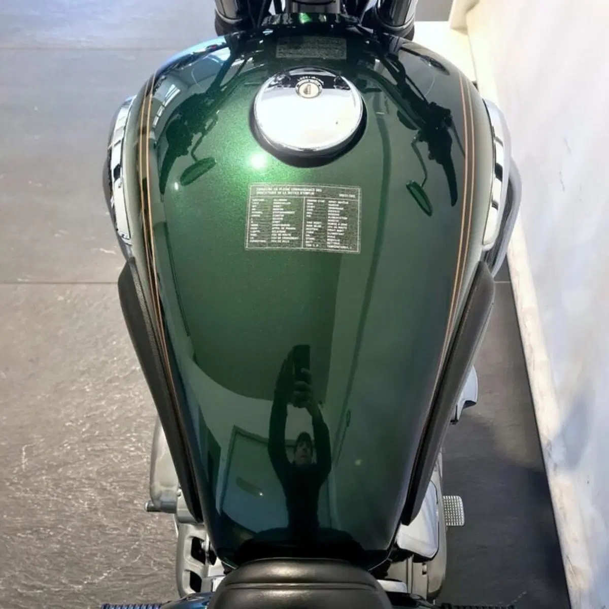 Kawasaki W 800 (2010 - 17) (6)