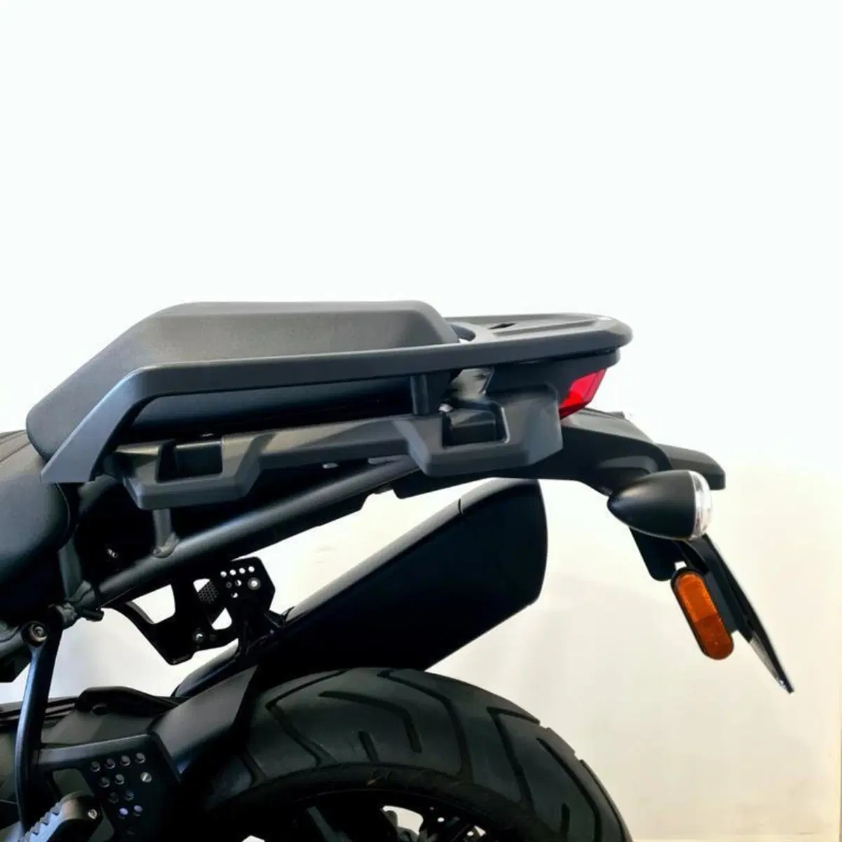 Harley-Davidson Pan America 1250 (2020 - 25) (13)