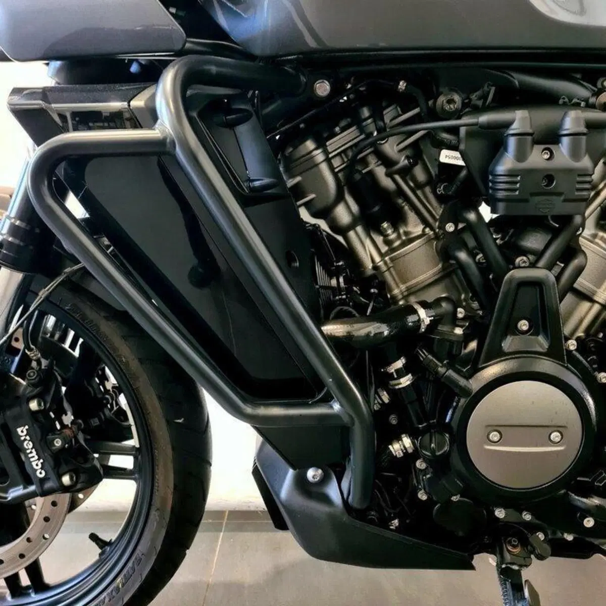 Harley-Davidson Pan America 1250 (2020 - 25) (10)