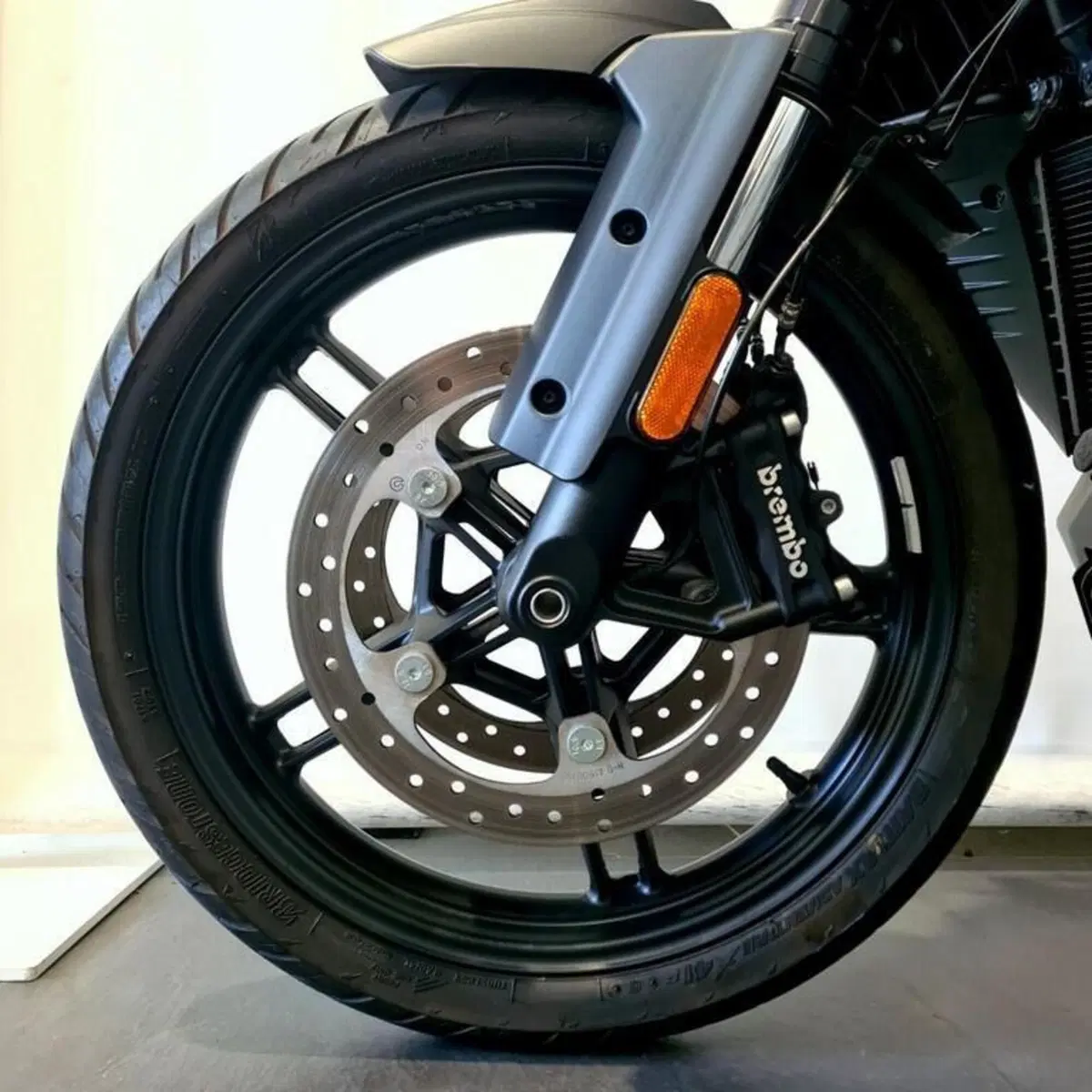 Harley-Davidson Pan America 1250 (2020 - 25) (7)