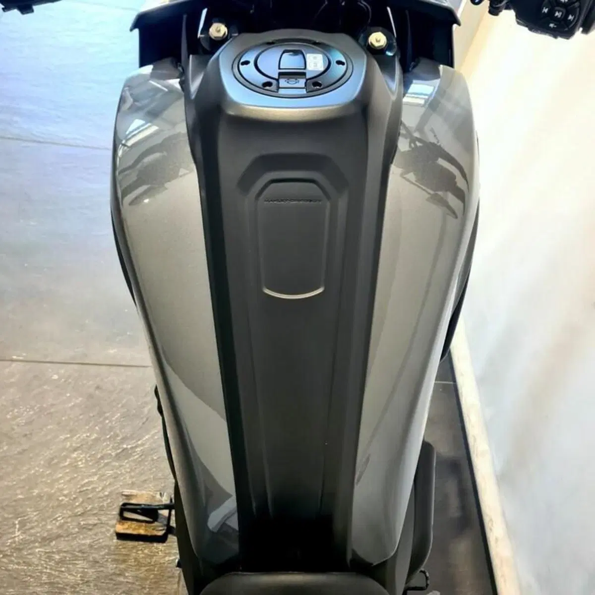 Harley-Davidson Pan America 1250 (2020 - 25) (6)