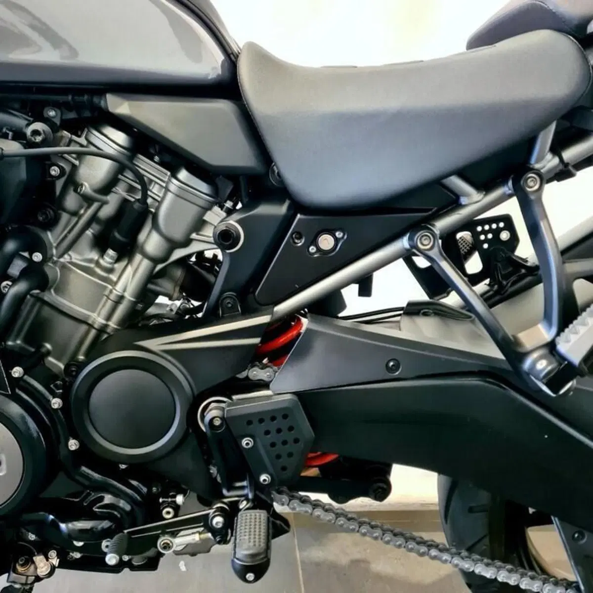 Harley-Davidson Pan America 1250 (2020 - 25) (11)