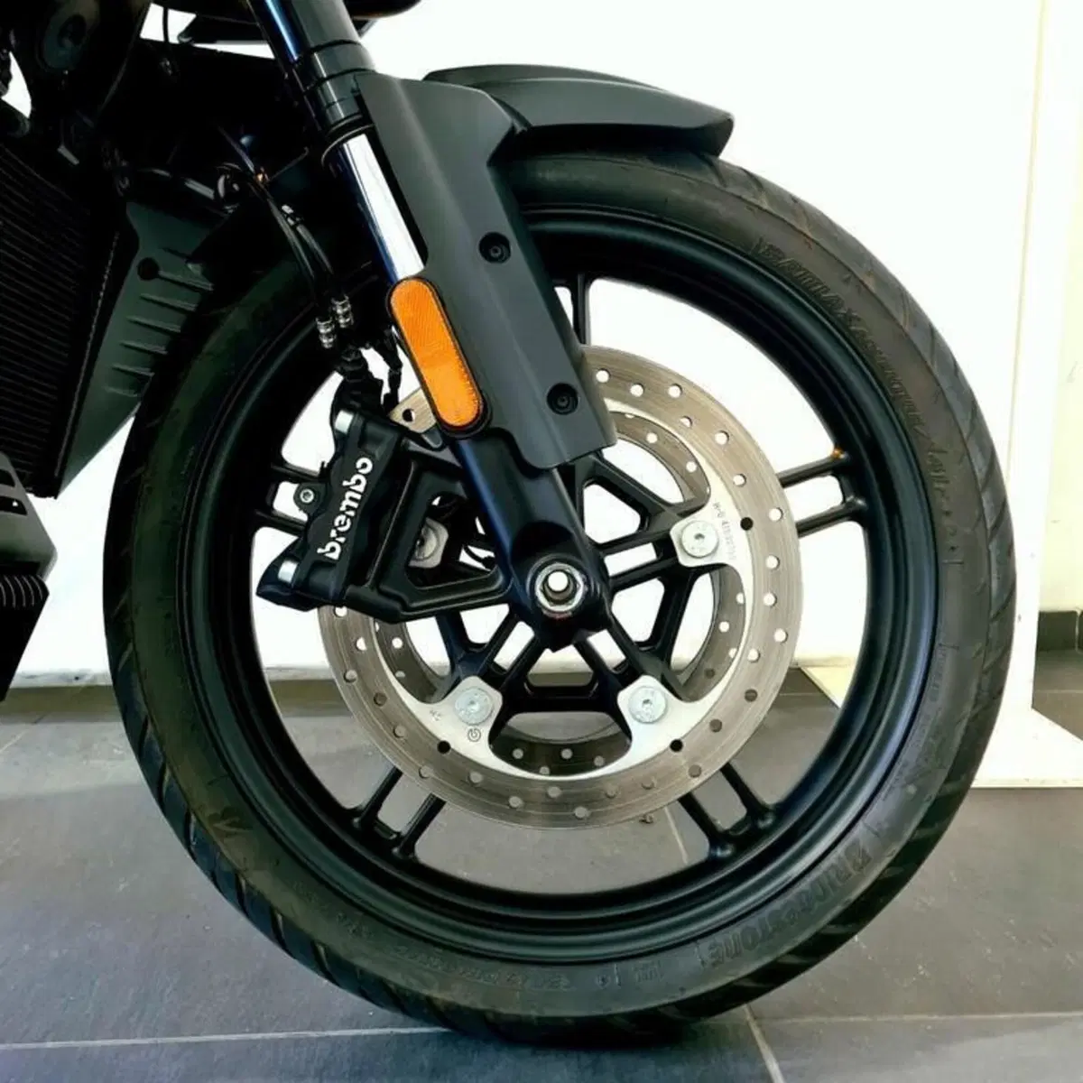 Harley-Davidson Pan America 1250 (2020 - 25) (15)