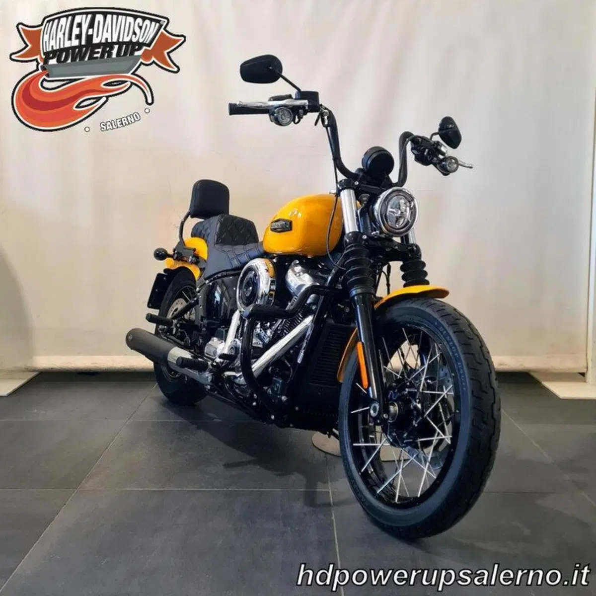 Harley-Davidson Street Bob 117 (2025 - 26) (4)
