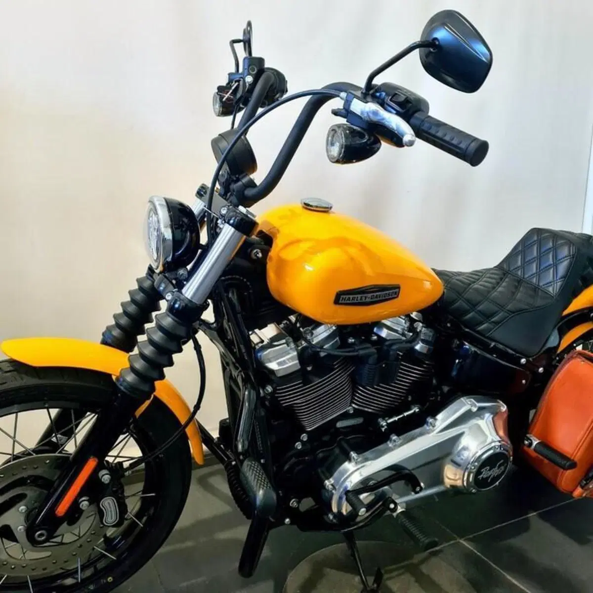 Harley-Davidson Street Bob 117 (2025 - 26) (8)