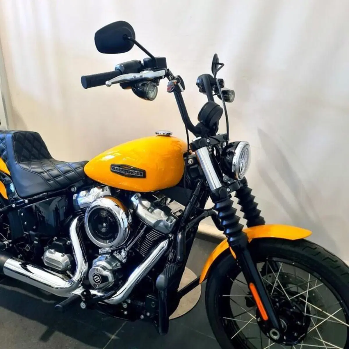 Harley-Davidson Street Bob 117 (2025 - 26) (15)
