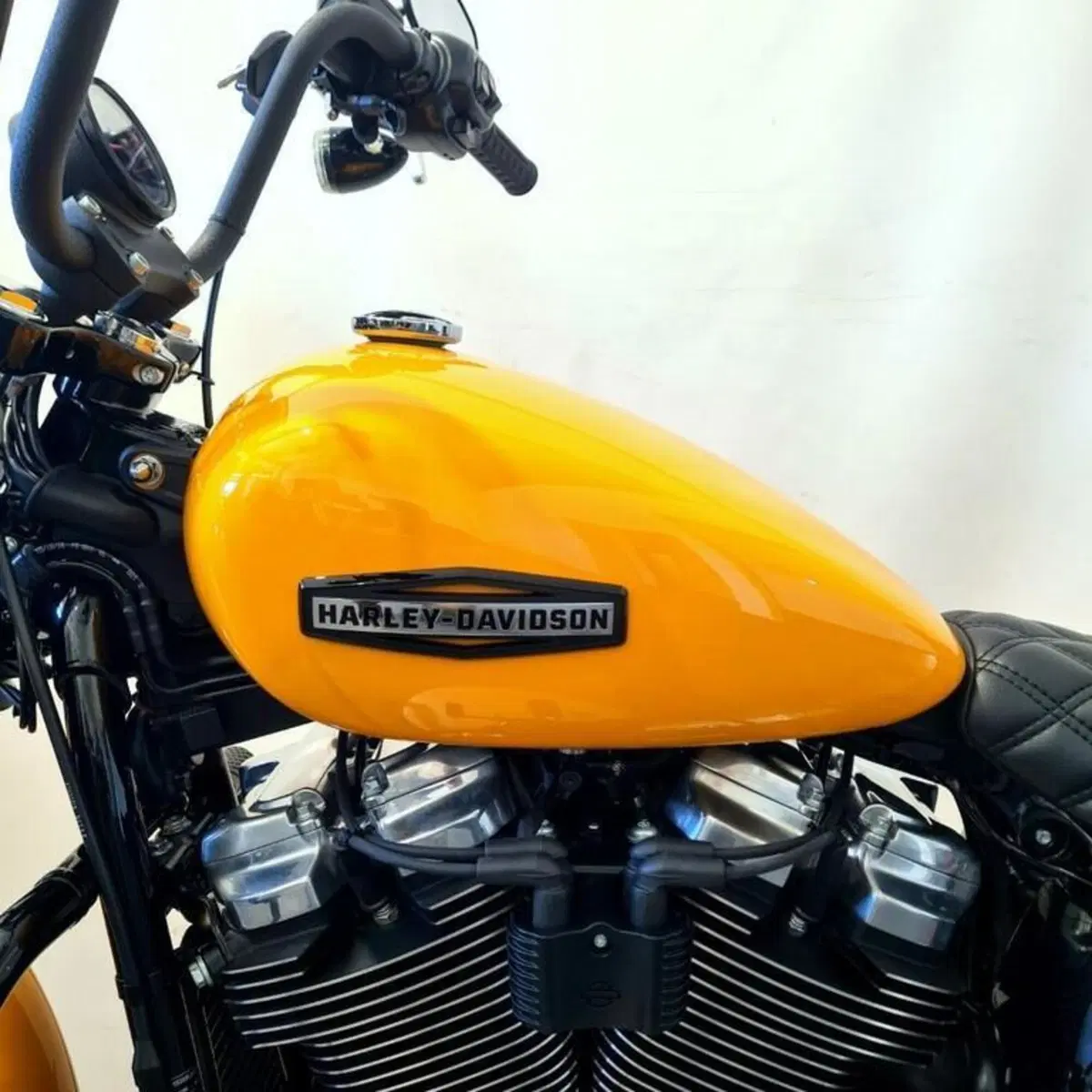 Harley-Davidson Street Bob 117 (2025 - 26) (9)