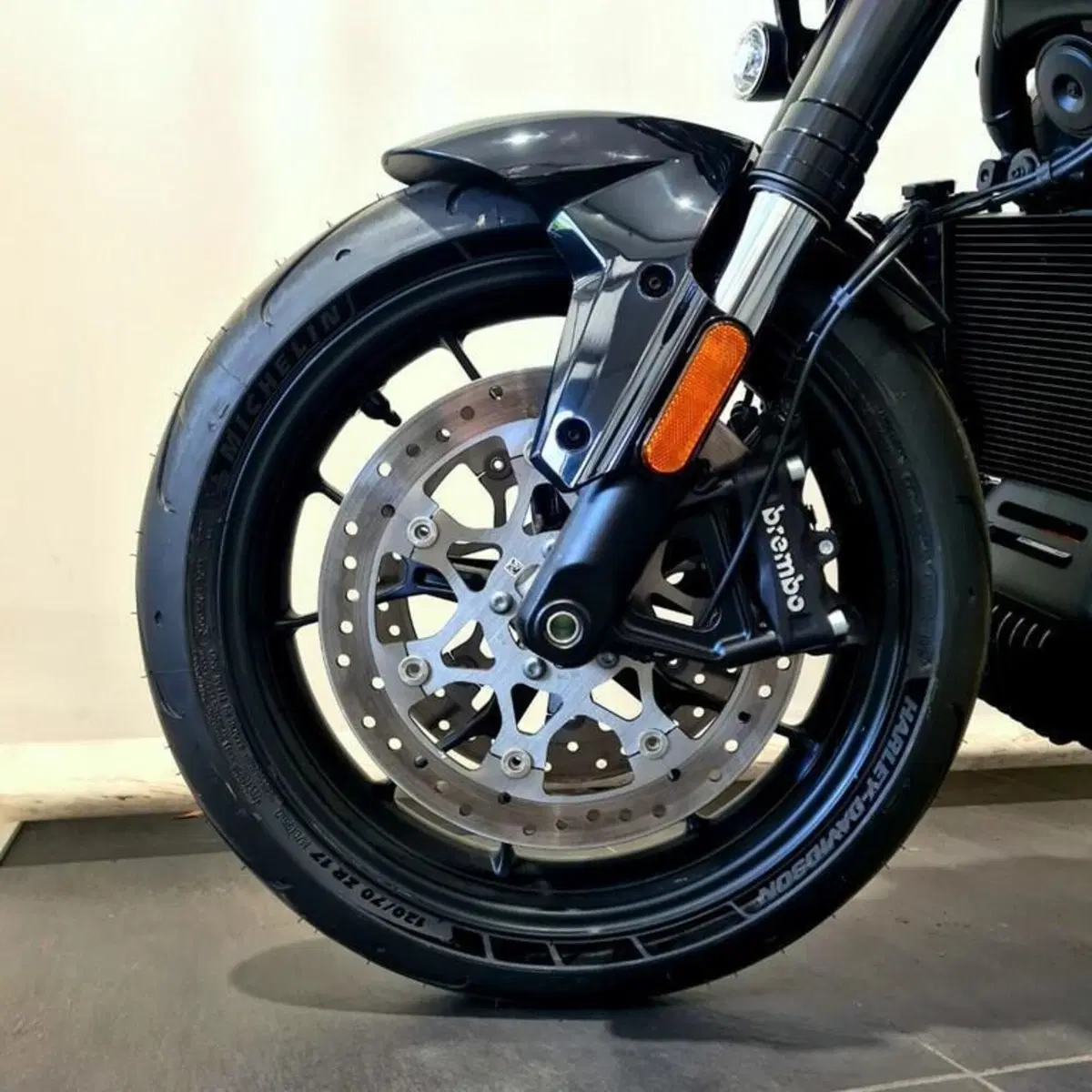 Harley-Davidson Pan America 1250 ST (2025 - 26) (7)