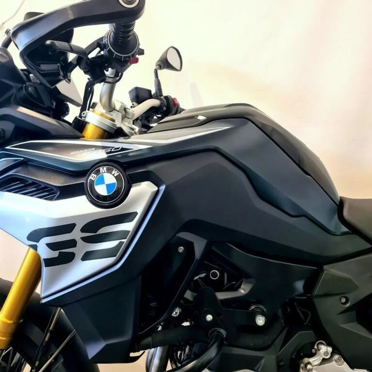 Bmw F 850 GS (2018 - 20) (10)