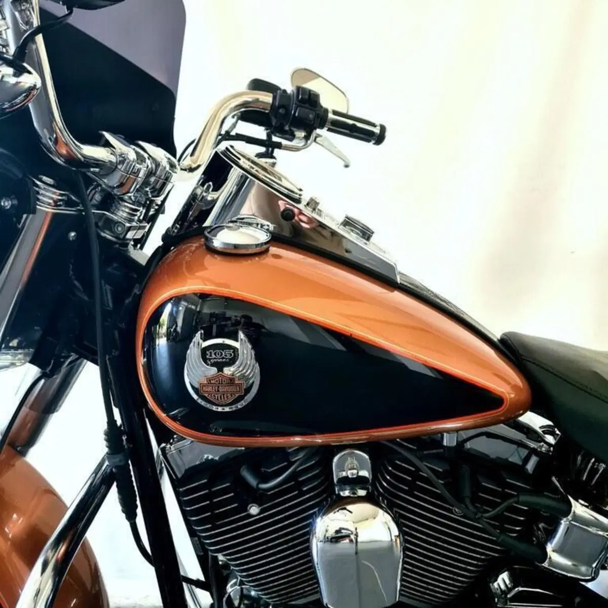 Harley-Davidson 1584 Fat Boy (2006 - 07) - FLSTF (10)