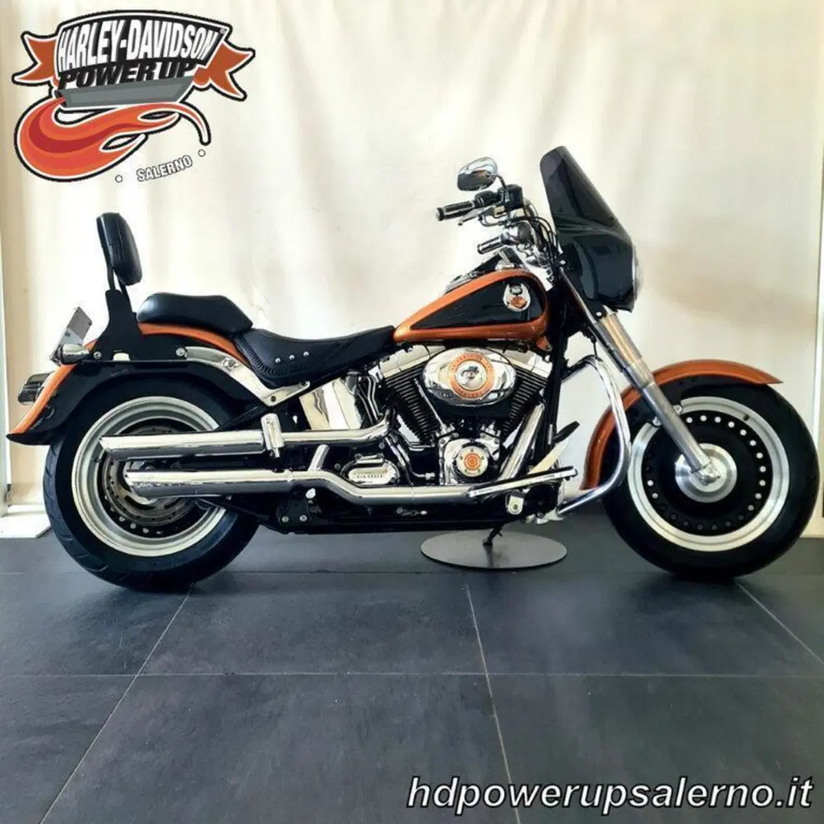 Harley-Davidson 1584 Fat Boy (2006 - 07) - FLSTF (3)