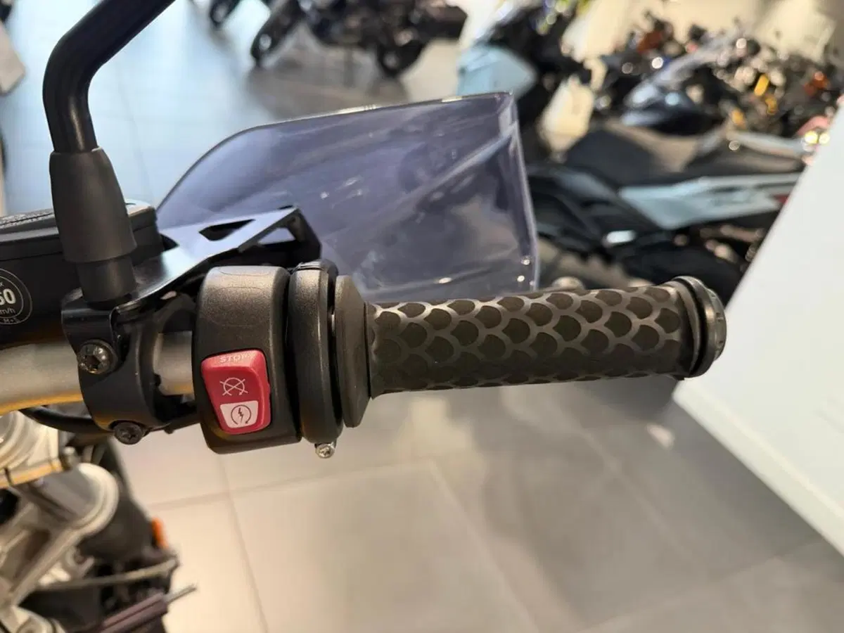 Bmw R nineT Urban GS 1200 (2017 - 20) (10)