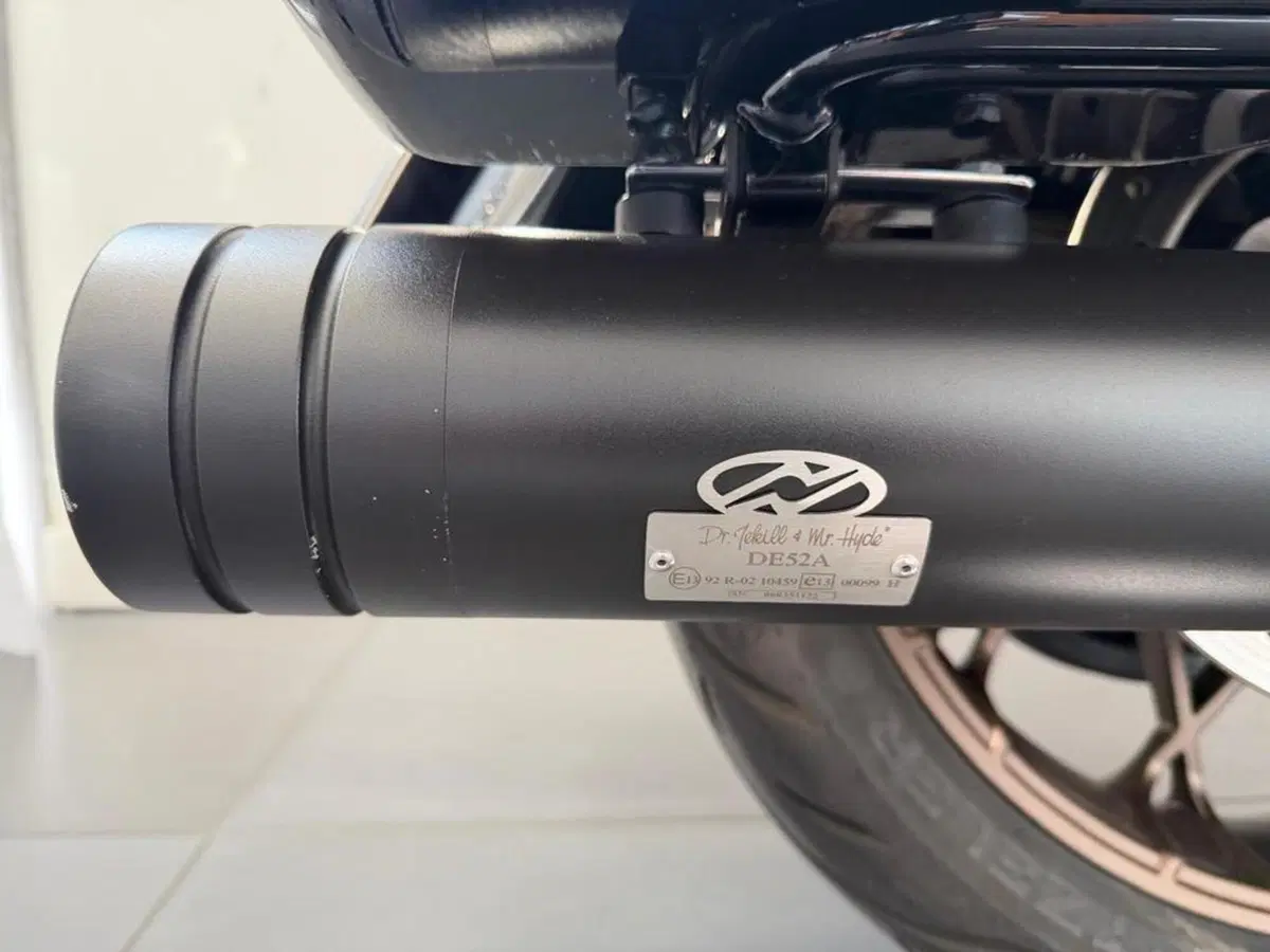 Harley-Davidson Road Glide ST (2022 - 23) (3)