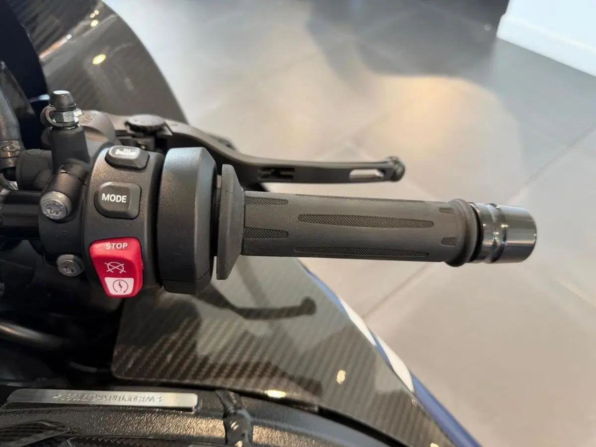 Bmw M 1000 RR (2023 - 24) (8)
