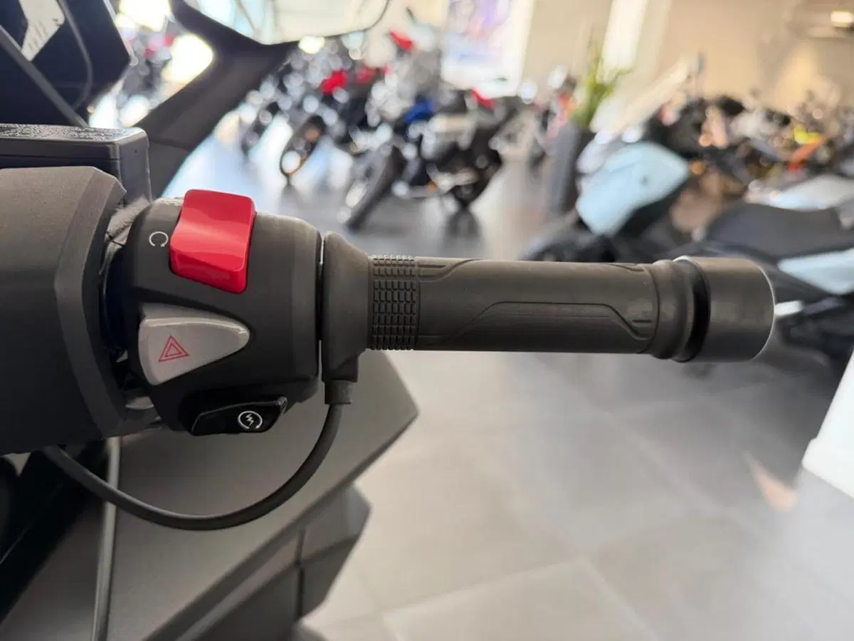 Honda Forza 350 (2022 - 24) (6)