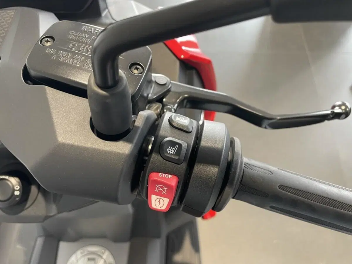 Bmw C 400 X (2021 - 24) (14)