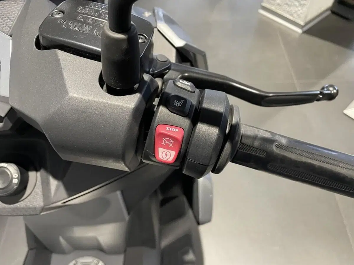 Bmw C 400 X (2018 - 20) (7)