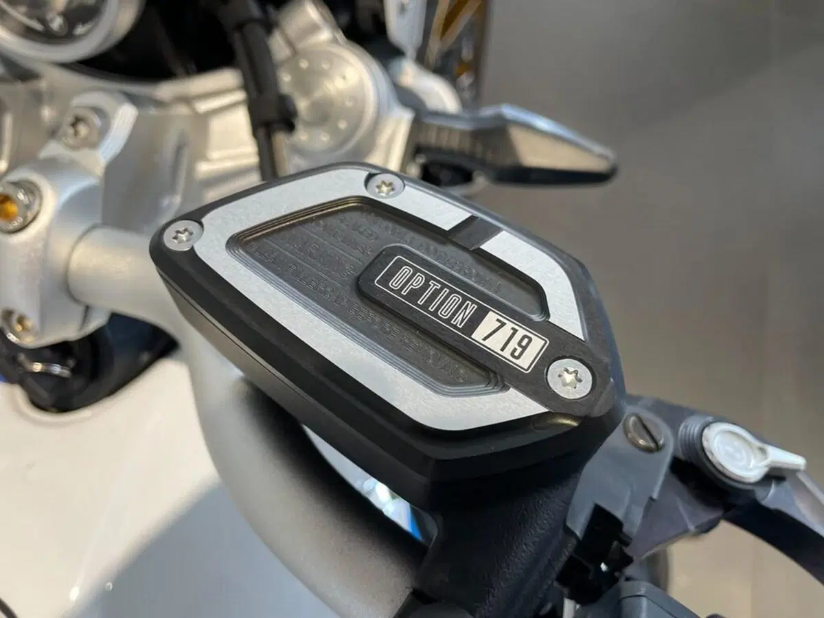 Bmw R nineT Urban GS 1200 (2017 - 20) (6)