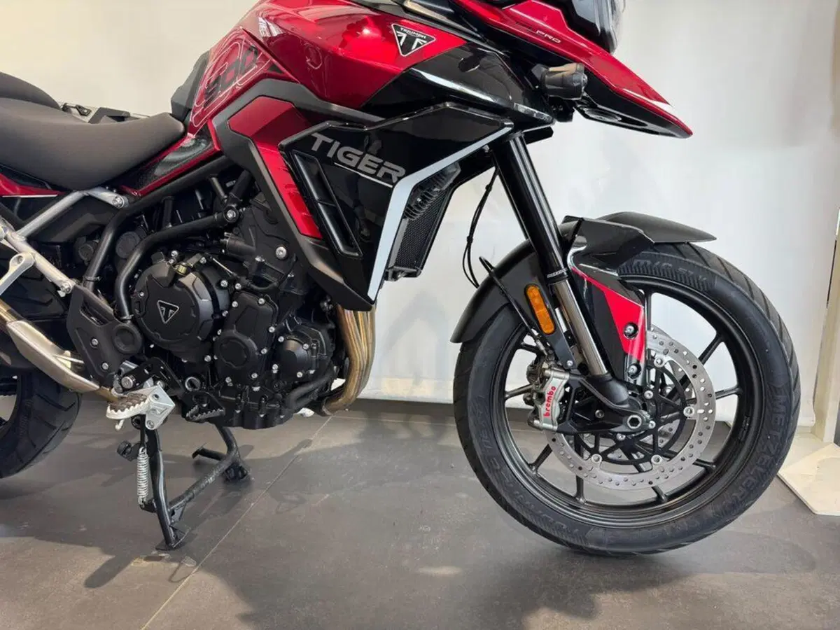 Triumph Tiger 900 GT Pro (2024 - 26) (11)