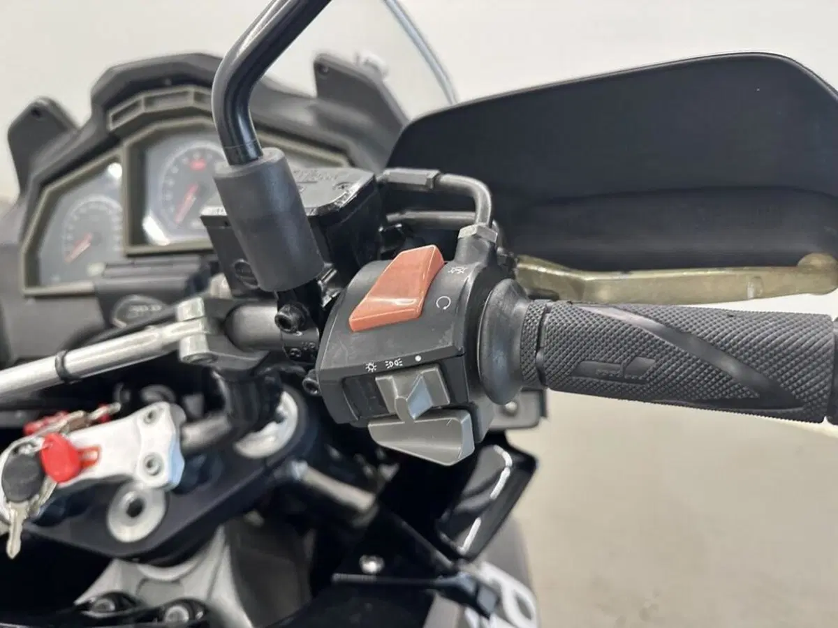 Aprilia Caponord ETV 1000 (2001 - 04) (8)