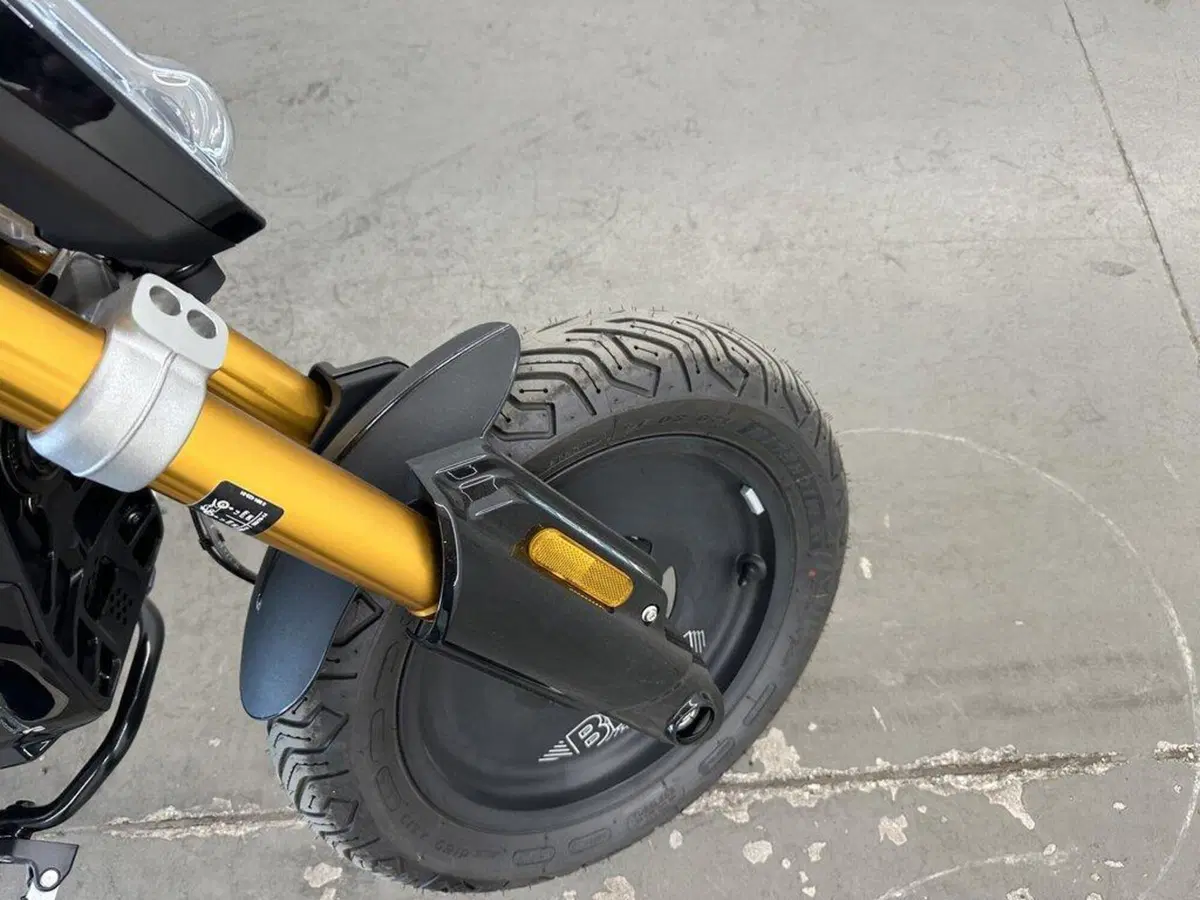 Bmw CE 02 AM (2024 - 26) (9)