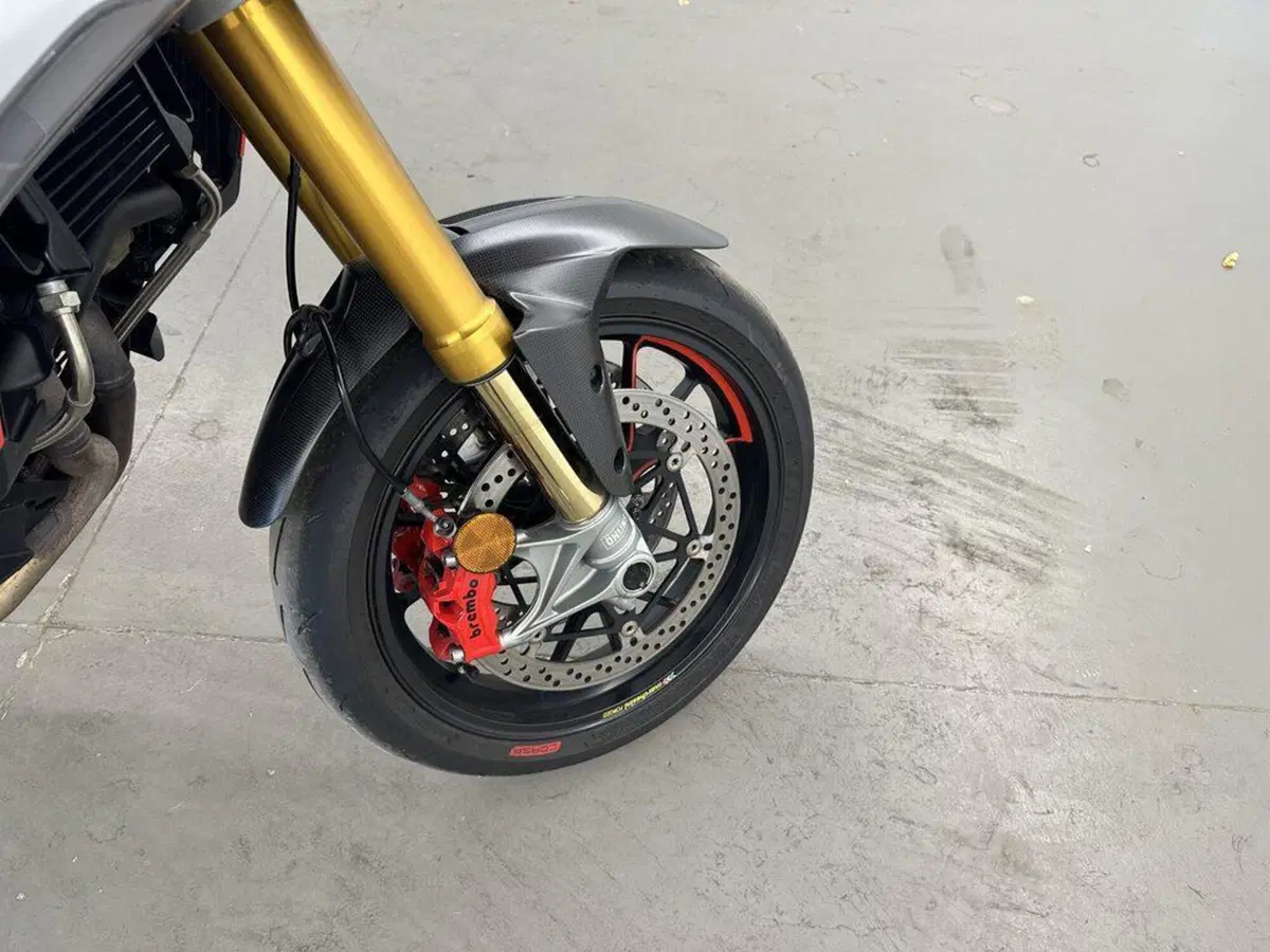 Ducati Multistrada V4 RS (2024 - 25) (9)