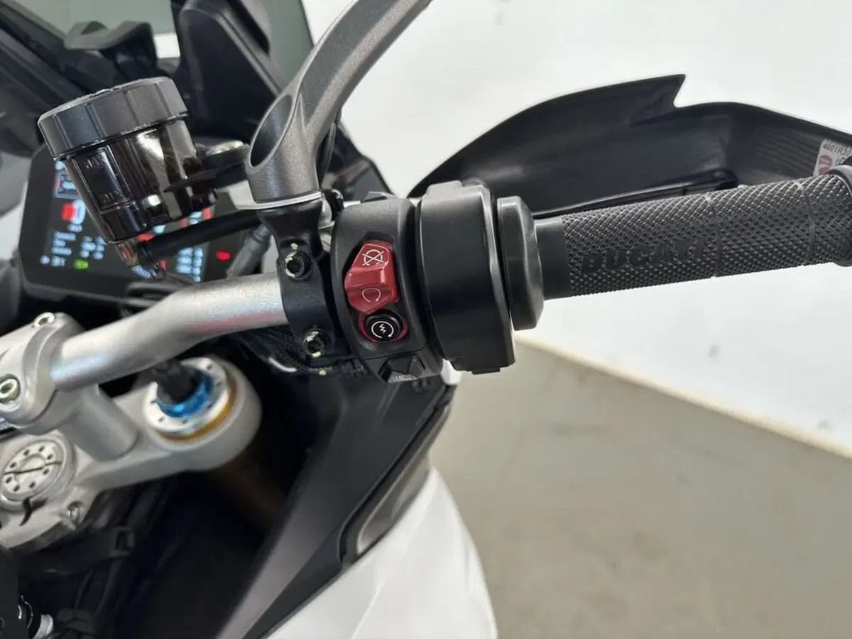 Ducati Multistrada V4 RS (2024 - 25) (10)