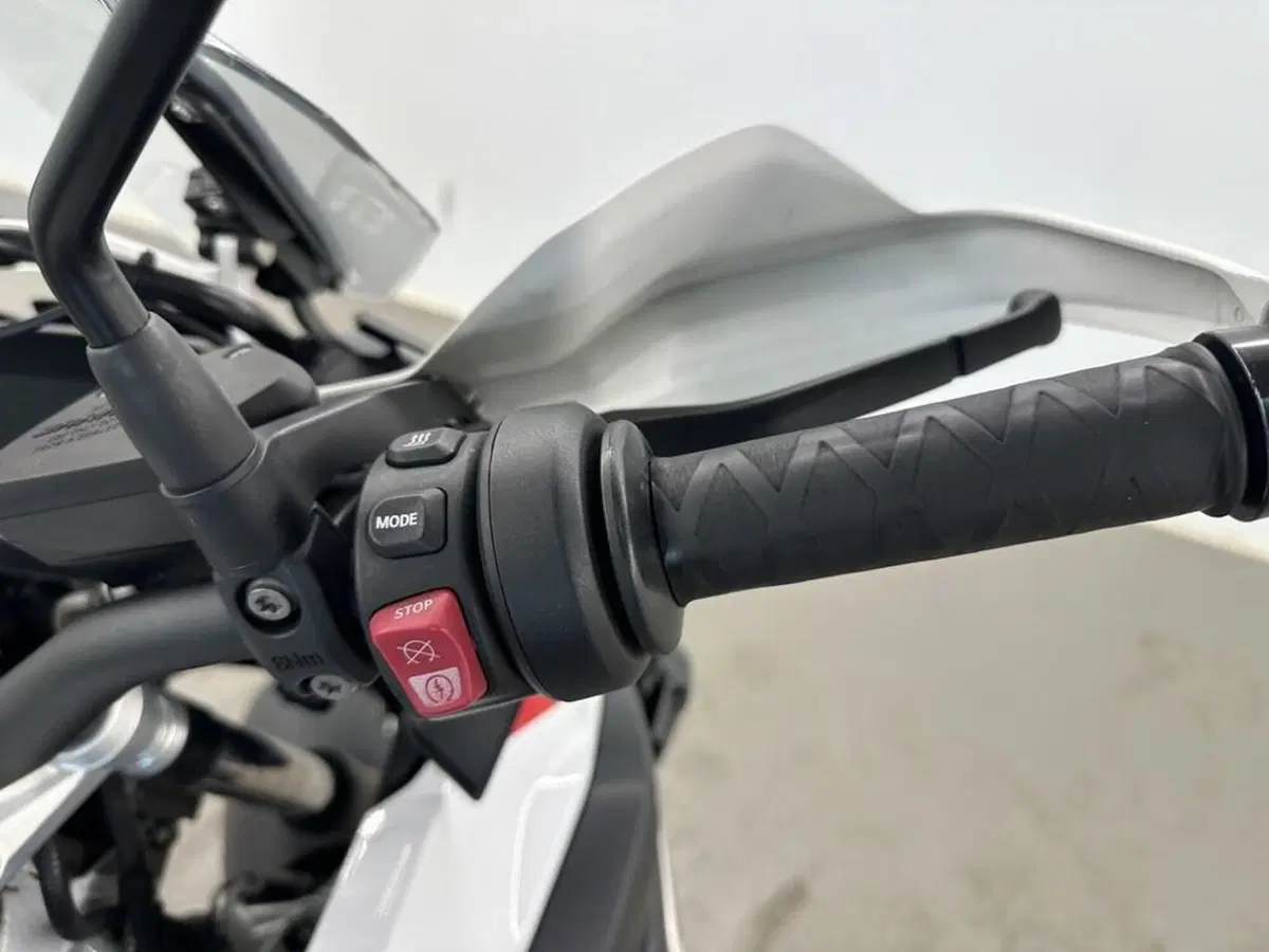 Bmw R 1250 GS (2021 - 24) (12)