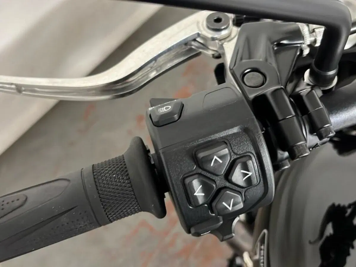 Triumph Scrambler 1200 XC (2021 - 23) (10)