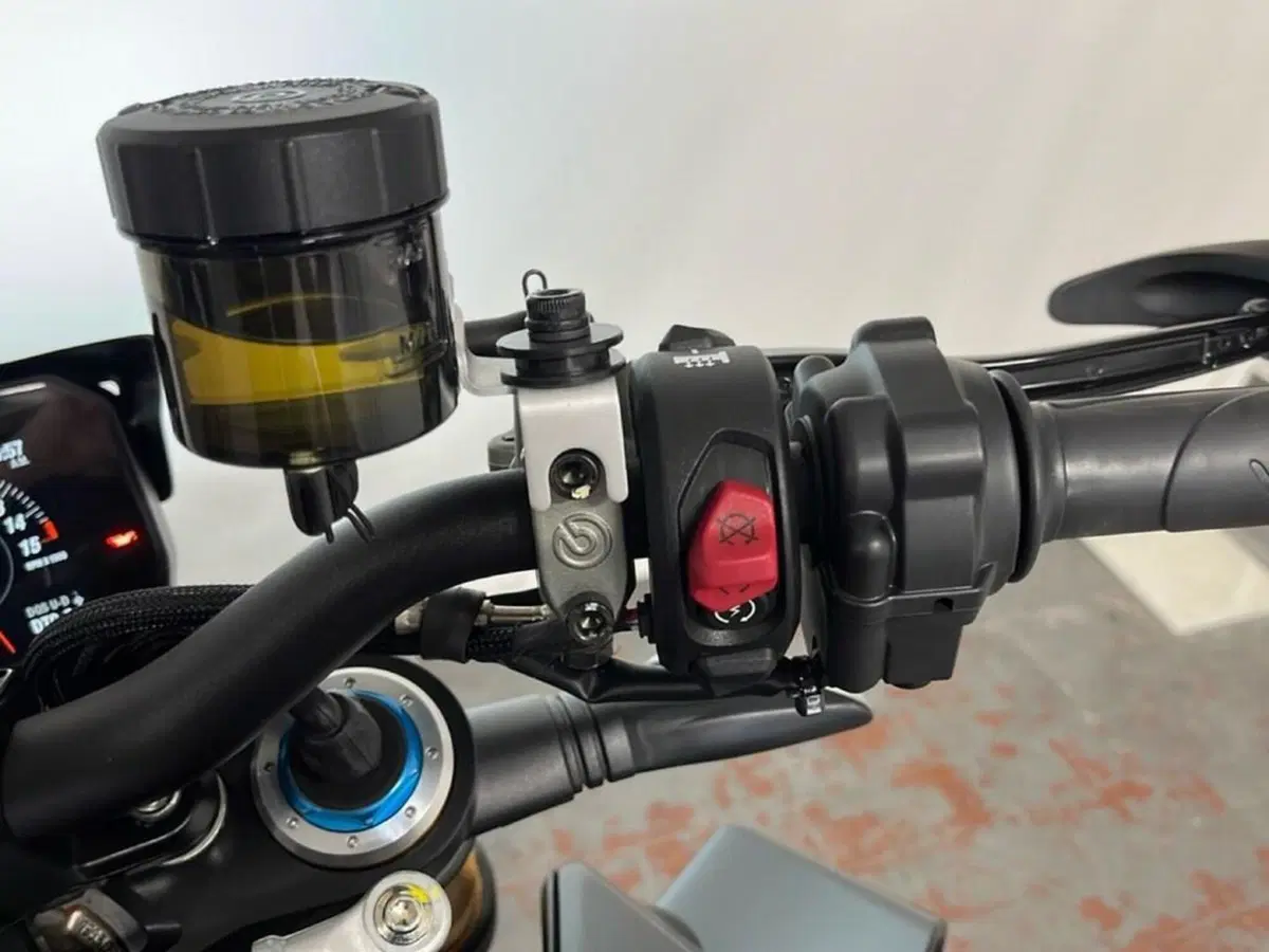 Ducati Streetfighter V4 1100 SP (2022) (11)