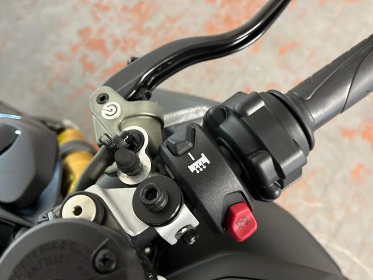 Ducati Streetfighter V4 1100 SP (2022) (12)